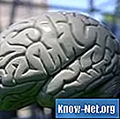 ¿Cuáles son los tratamientos para la atrofia cerebral? - Salud