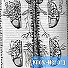 Aká je liečba vertebrálneho hemangiómu?