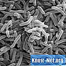 Naturlige midler mod Helicobacter pylori