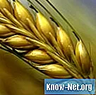 Znaki in simptomi alergij na pšenico in cela zrna