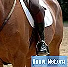 Traitement des brûlures de corde chez les chevaux - Santé