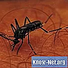 Как использовать керосин для уничтожения комаров