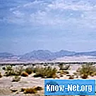 Quali sono i pericoli di un'escursione nel deserto? - Vita